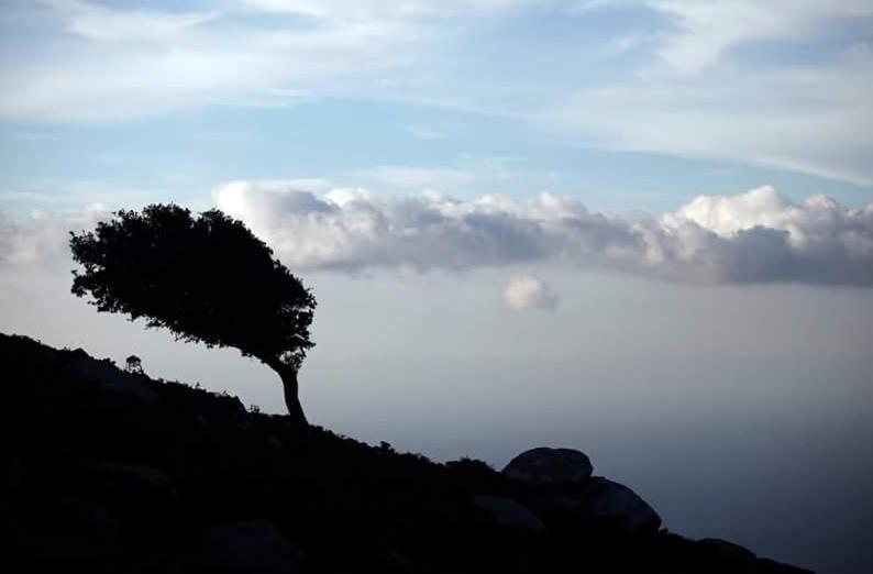 Ikaria Studios Manganítis Exteriör bild