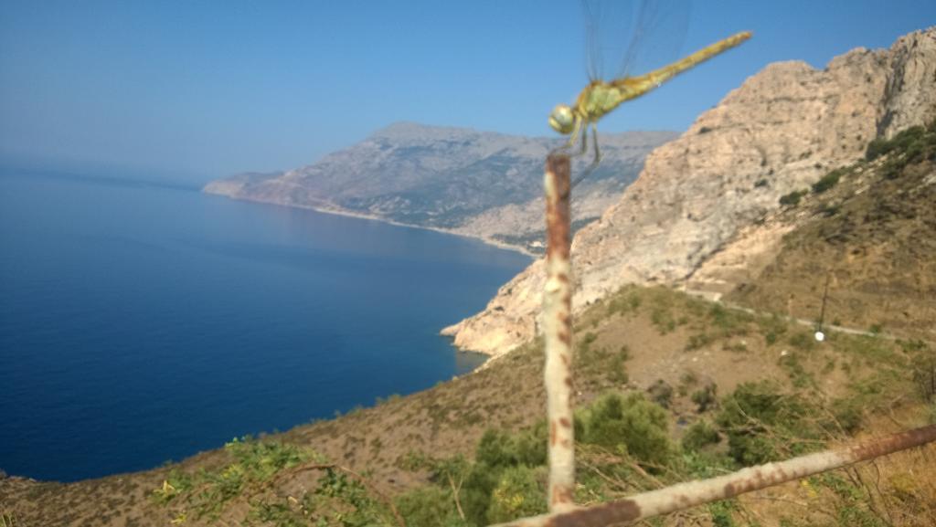Ikaria Studios Manganítis Exteriör bild
